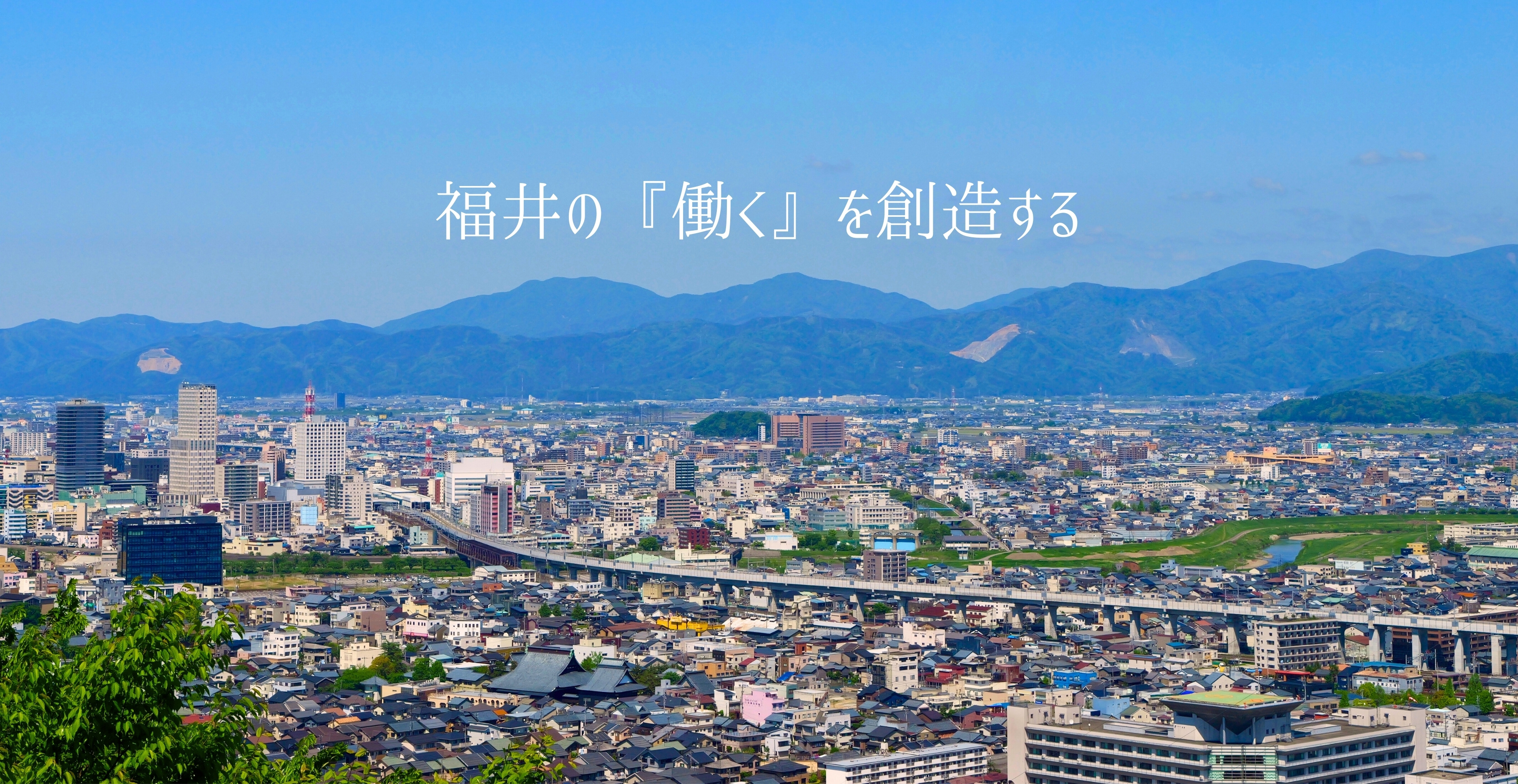 福井キヤノン-Main.jpg